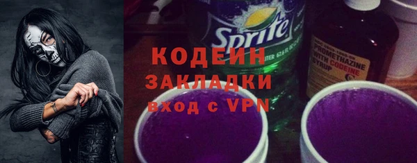 шишки Белоозёрский