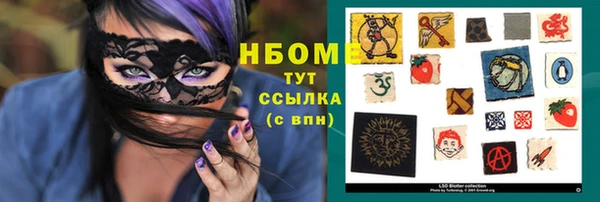 шишки Белоозёрский
