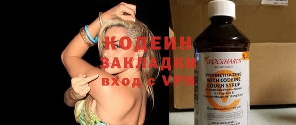 шишки Белоозёрский