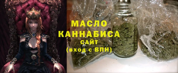шишки Белоозёрский