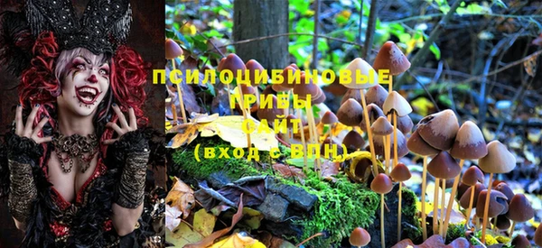 кокаин Беломорск