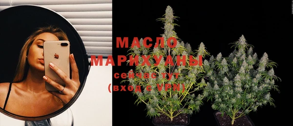 шишки Белоозёрский