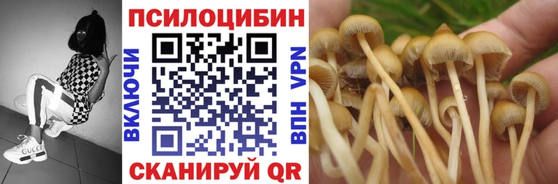 Галлюциногенные грибы Psilocybine cubensis  Мезень 